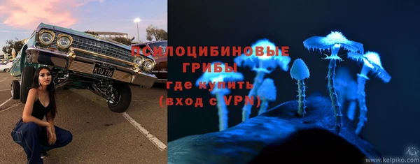 каннабис Белокуриха